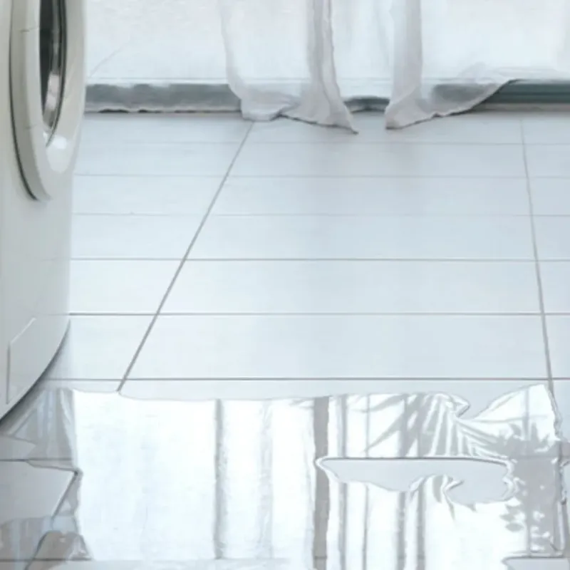 Appliance Leak Cleanup in Sumner County, KS