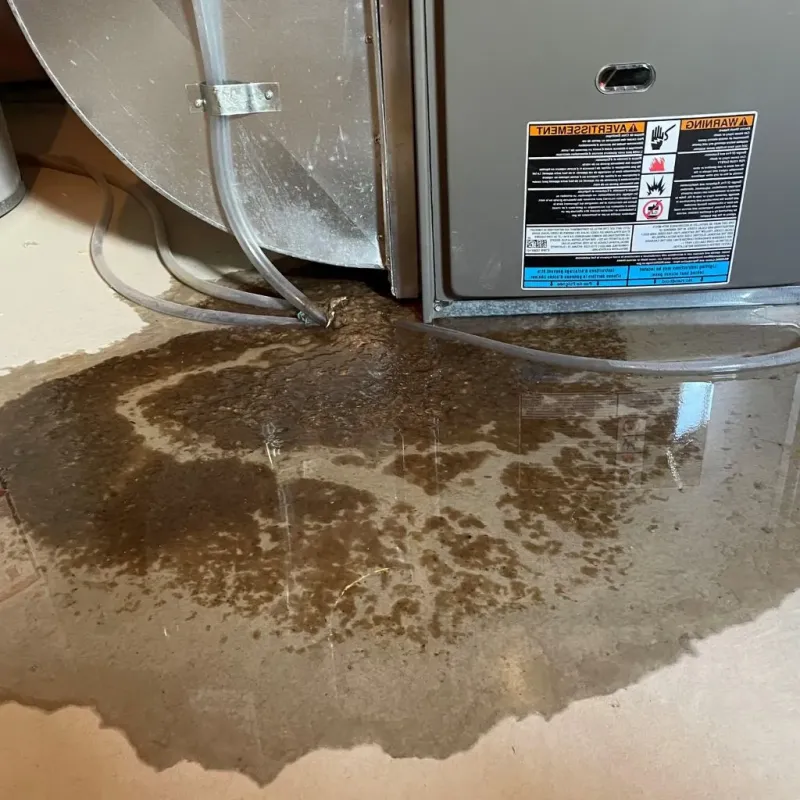 Pipe Burst and Leak Restoration in Sumner County, KS