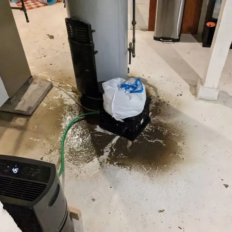 Sewage Backup Cleanup Service in Sumner County, KS